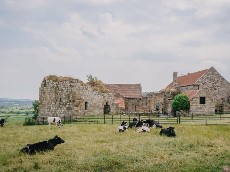 Scenic views around Danby Castle.
picture: Chris Milner Photography
