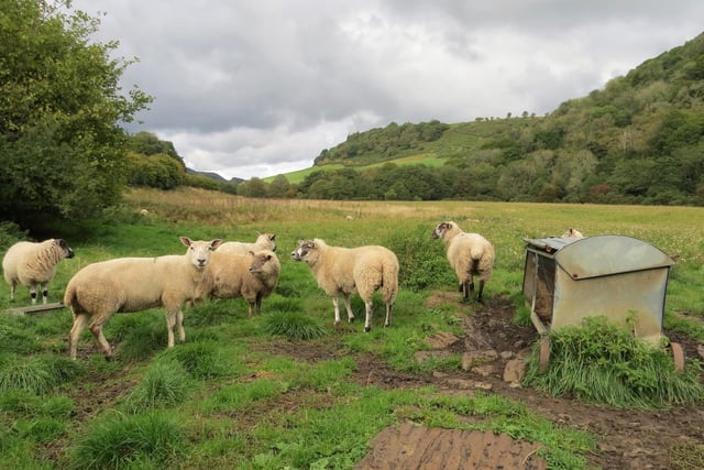 Country scene at Langdale End