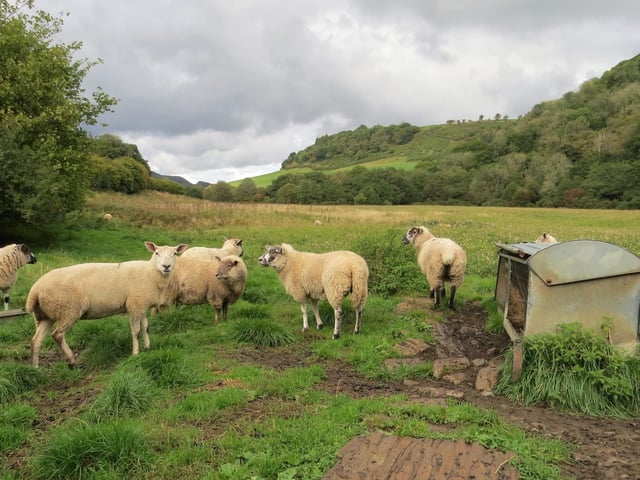 Country scene at Langdale End