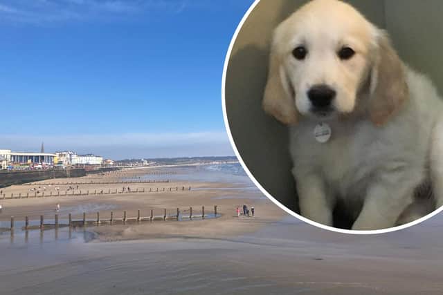 Dogs across Bridlington will not be able to visit the beaches for five months, starting May 1.