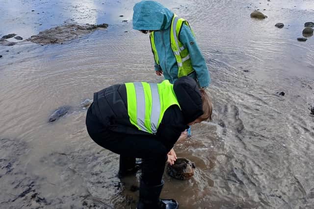 Fossil hunting at Boggle Hole.