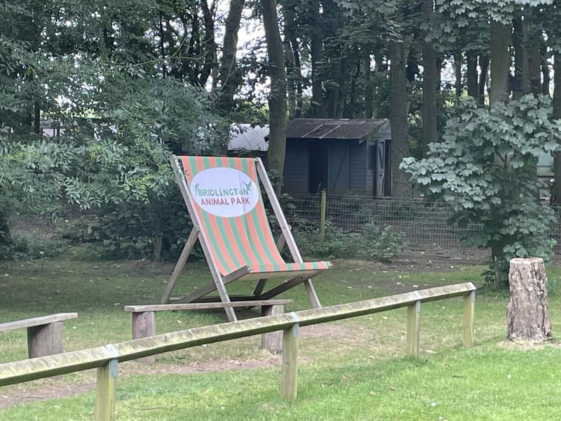 This area is used for the many birds of prey shows that the park puts on.
