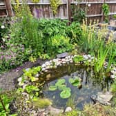 Ponds are one of the quickest and easiest ways to make a difference for wildlife.