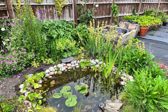 Ponds are one of the quickest and easiest ways to make a difference for wildlife.