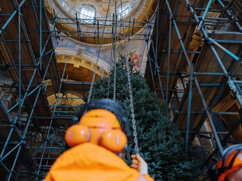 The scaffolding all in place to position the tree as the centrepiece of the grand hall. photo: Tom Arber