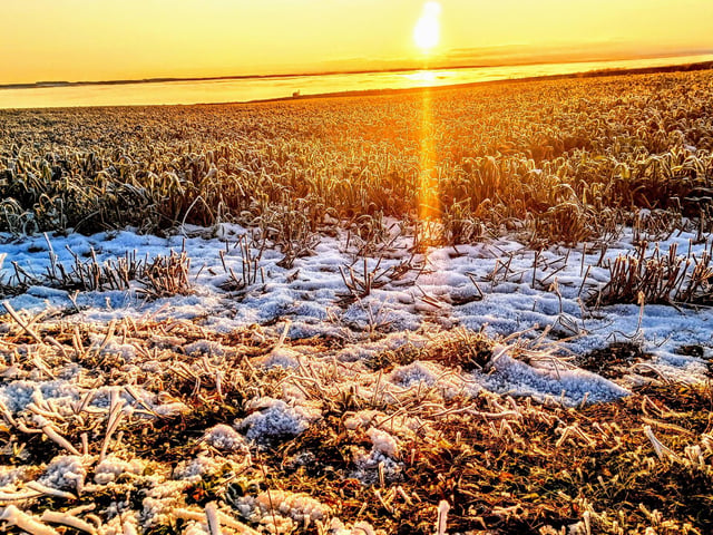 A stunning wintry scene.
picture: Jennifer Prior