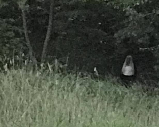 This week, The Scarborough News reported that a holiday-maker had spotted a ‘ghost’ at the Open Air Theatre. (Pic: Tracey Gray)