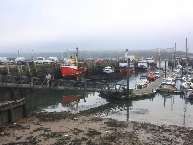 Misty inner harbour.