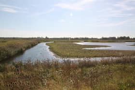 North Cave Wetlands are part of the Humberhead Levels and an important seabird habitat