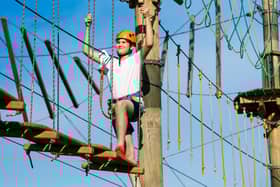 A young person tries out one of the many of the fun rope activities which are featured at The Edge Aerial Adventure.