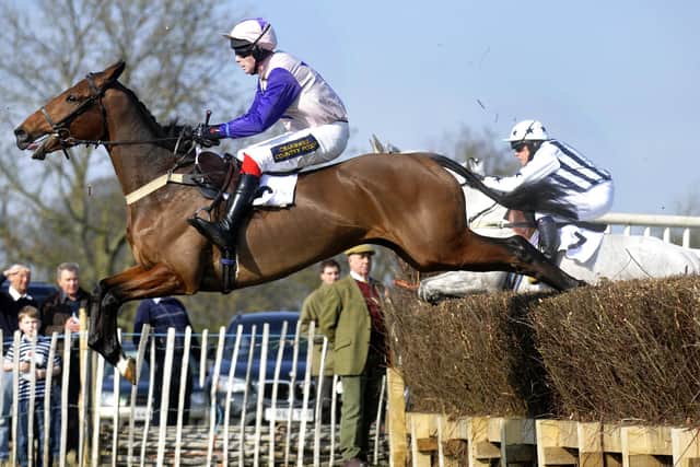 Charm Park action. Picture Richard Ponter