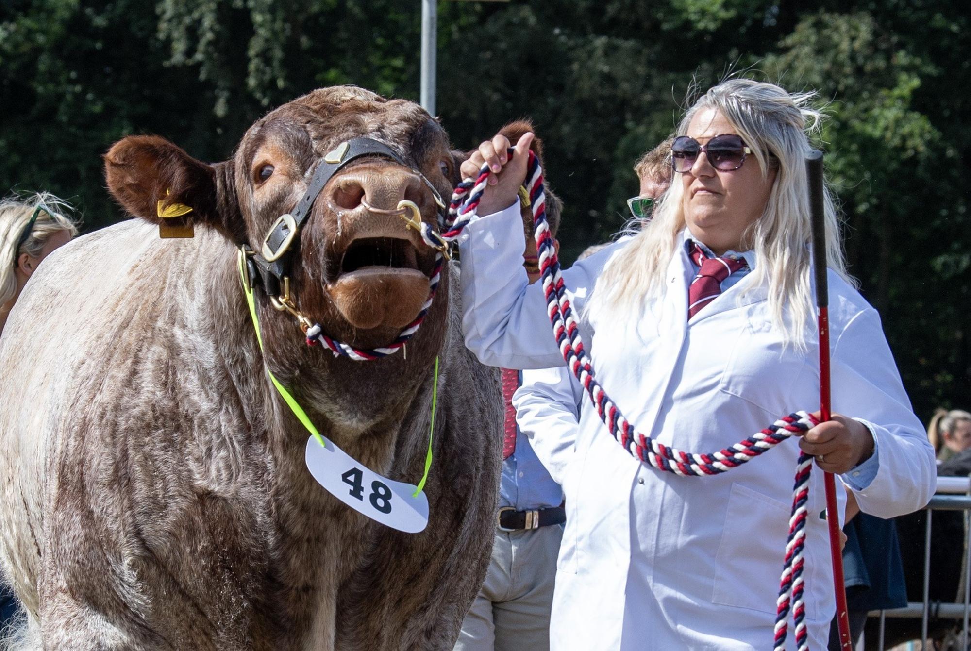 Ryedale Show 2026: Die besten Bilder von einer der größten ...
