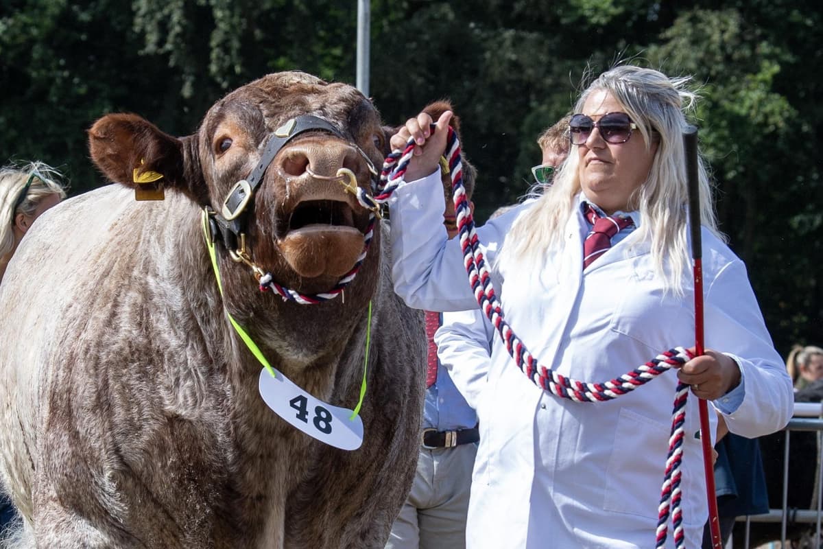 Ryedale Show 2026: Die besten Bilder von einer der größten ...