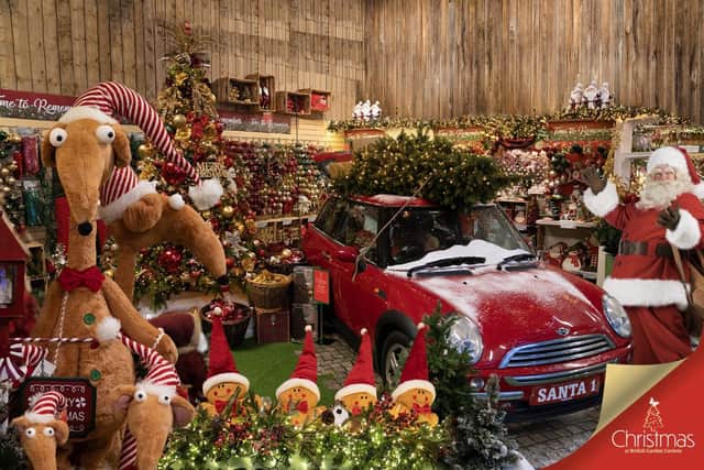 Christmas Magic comes to Irton Garden Centre