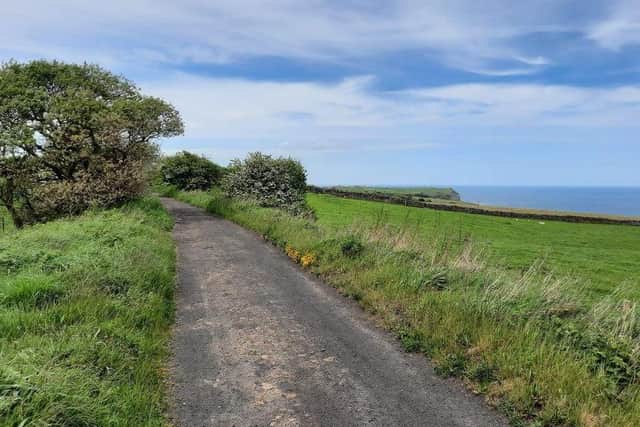 Cinder Track. picture: North Yorkshire Council