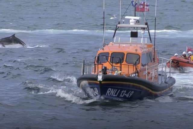 Footage captured by Paul Wilson of Dolphins swimming with Whitby's new lifeboat Lois Ivan.