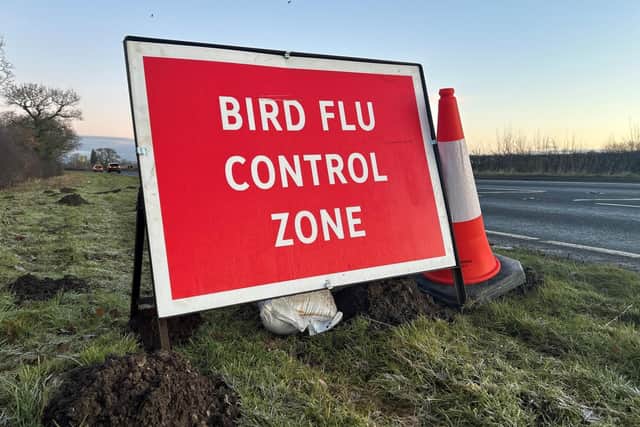 A roadside sign in North Yorkshire highlighting a control zone that has been put in place to help to contain the spread of avian influenza.