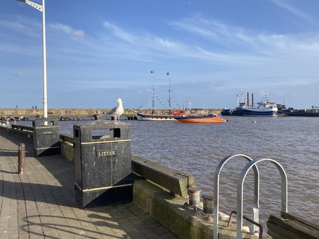 Seagulls are already on patrol in the harbour waiting for visitor's fish and chips.