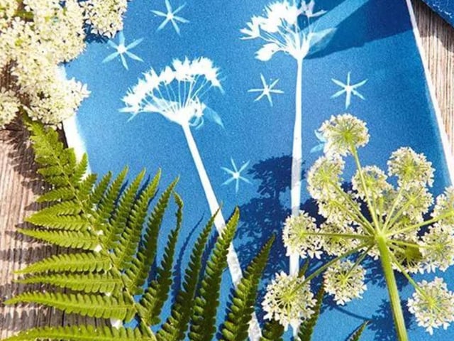 On Saturday April 1, the Woodend Gallery in Scarborough will be hosting a Cyanotype Workshop with Angela Chalmers. Tickets are priced at £6, and the session runs from 11am until 1pm. Attendees will learn how to create cyanotypes. Using natural light (or UV if it’s a gloomy day!), Angela will guide you through creating your very own cyanotype prints to take home.