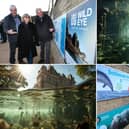 Ambiguous Machines - augmented reality trail launches in Scarborough