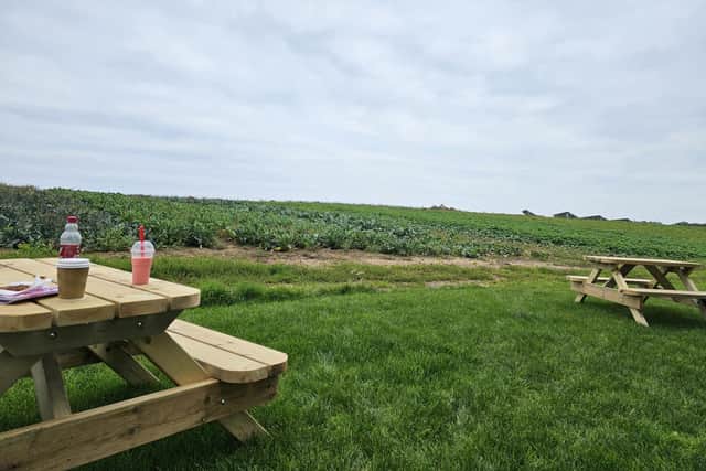 Seating area overlooking the field where the veg is grown for the veg boxes at Allison Field Farm, Muston.