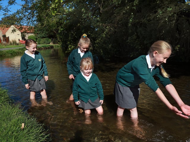 The pupils immerse themselves in nature