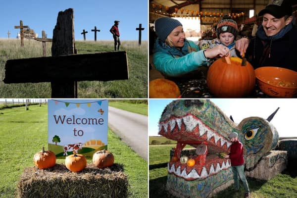 Take a look at our pictures from Humble Bee Farm's Pumpkin Patch and Halloween Trail below!
