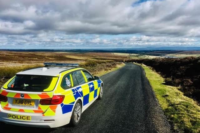 The incident occurred at about 11.30am on Monday July 7, just south of the Whole Hogg farm shop.