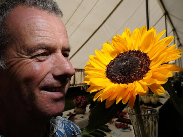 Graeme Watson viewing a sunflower at Danby Show.