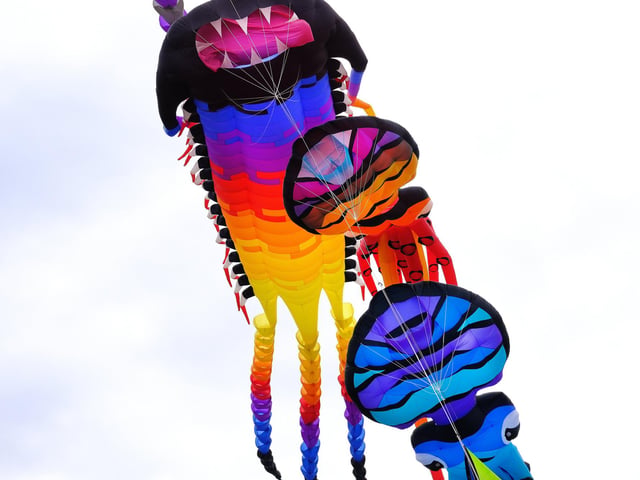 Colourful jellyfish float above.