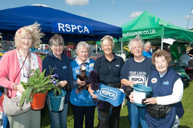 The Bridlington And Driffield RSPCA team at the Lions Carnival.