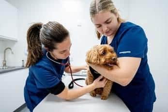 The free wellness checks are available throughout January