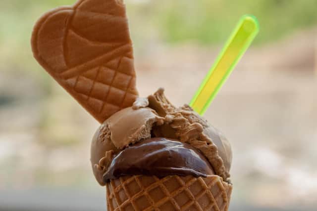 Which ice cream flavour is the best?