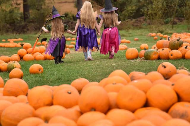 Sisters Poppy, Rosie and Holly get ready for some spooky spells at North Shire Farm near Whitby. Picture Richard Ponter