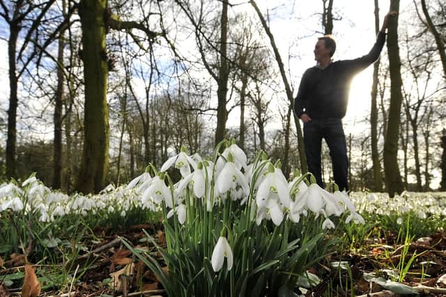 February 8 to March 3 at Burton Agnes Hall and Gardens - Every February, millions of beautiful snowdrops pop up and delight visitors to the grounds of the Elizabethan home.