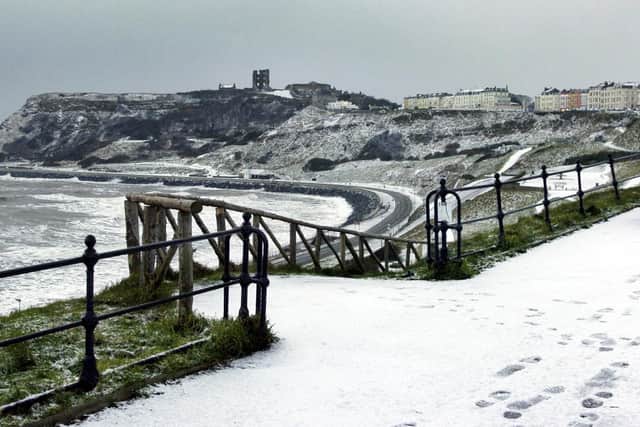 Snow in Scarborough