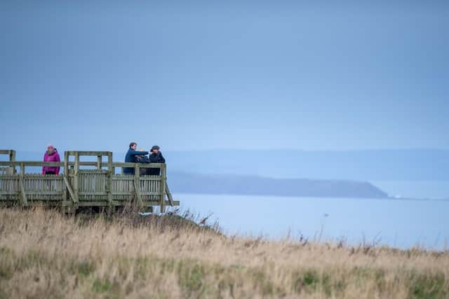 There are six viewing platforms for visitors to enjoy spectacular scenes of the wildlife along the Yorkshire coast.