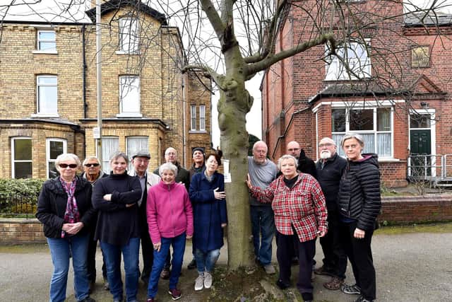 Residents on Westbourne Park campaign to save their trees.