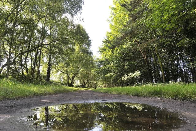 Popular with walkers and cyclists, the cinder track is a nice flat run all the way to Whitby. Alternatively, looping from Burniston to Hayburn Wyke and back is a great walk, with a pub to stop off at half way through!