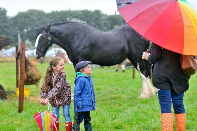 The rain didn't put these two little ones off at Burniston Show in 2015.