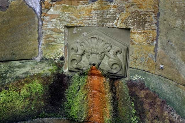 Many stroll straight passed the Spa well on the steps leading to South Bay. But if you grew up in Scarborough you'll know this is where the spa waters come from. The font of our great town.