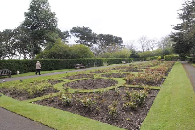 The beautiful gardens leading down to the beach from South Cliff are nearing the end of an extensive restoration project so that generations to come can enjoy the green space.