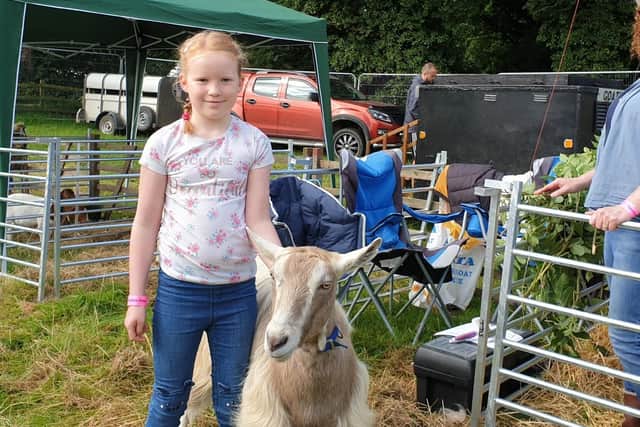 Nancy with her Toggenburg goat