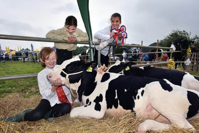Sarah Hatchard, Chloe Walker and Amy Hutchinson of Wilks Farm tend to their prize show cows. 194104c