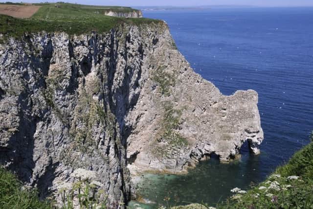 Looking towards Filey from the cliffs at Bempton