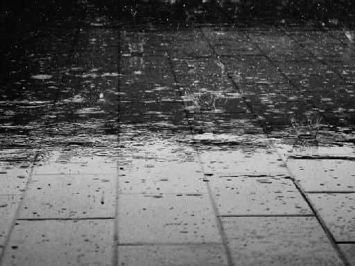 Rain