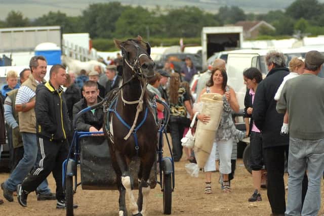 Pictures from a previous Seamer Horse Fair