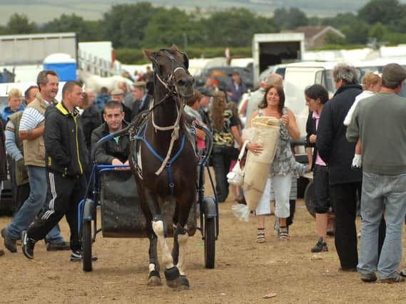 Pictures from a previous Seamer Horse Fair