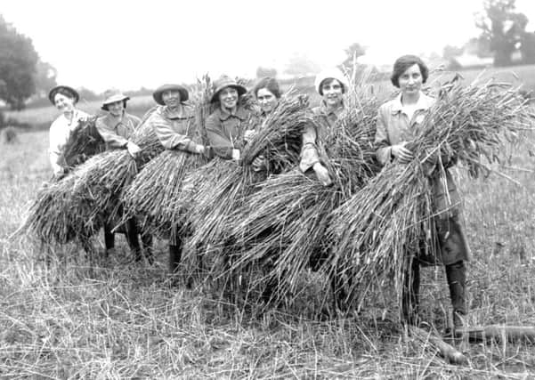 Women work in the field to gather the harvest during World War One.