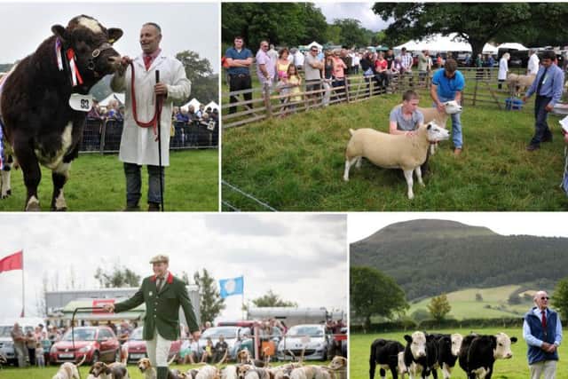There are plenty of Agricultural Shows taking place throughout the region this summer